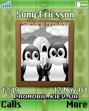   Sony Ericsson 176x220 - Frame