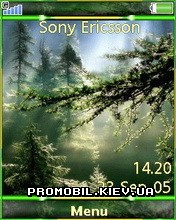   Sony Ericsson 240x320 - Green Relax