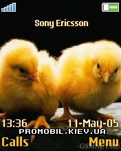   Sony Ericsson 176x220 - Little Chicken