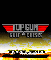   [Top Gun Gulf Crisis]