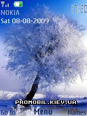   Nokia Series 40 3rd Edition - Winter