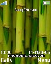 Тема для Sony Ericsson 176x220 - Bambus