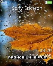   Sony Ericsson 240x320 - Autumn leaf