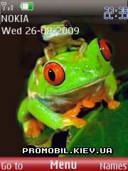   Nokia Series 40 3rd Edition - Frog