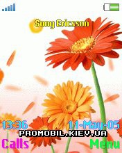 Тема для Sony Ericsson 176x220 - Flowers