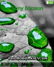   Sony Ericsson 240x320 - Green Drops