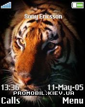   Sony Ericsson 176x220 - Tiger