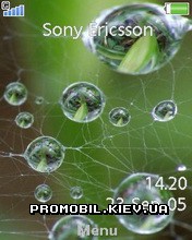   Sony Ericsson 240x320 - Drops Of Water