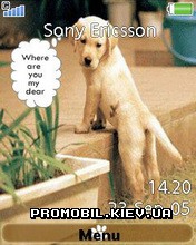   Sony Ericsson 240x320 - Puppy