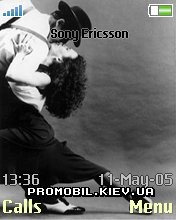   Sony Ericsson 176x220 - Tango