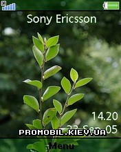   Sony Ericsson 240x320 - Green Leaves