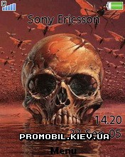   Sony Ericsson 240x320 - Skully