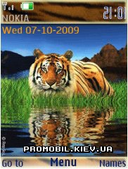   Nokia Series 40 3rd Edition - Tiger