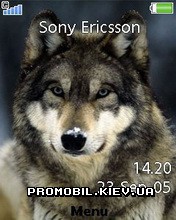   Sony Ericsson 240x320 - Wolf