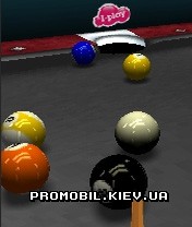     2010 [3D World Championship Pool 2010]