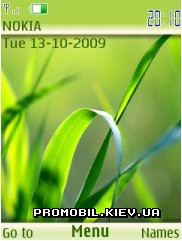   Nokia Series 40 3rd Edition - Max Vista