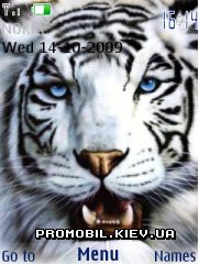   Nokia Series 40 3rd Edition - White tiger