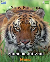   Sony Ericsson 240x320 - Tiger