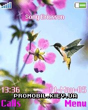   Sony Ericsson 176x220 - Honey bird