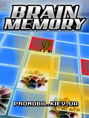   [Brain Memory]