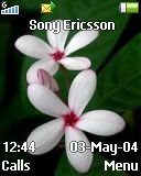   Sony Ericsson 128x160 - So Delicate