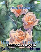 Тема для Sony Ericsson 176x220 - Pink Roses