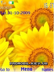   Nokia Series 40 3rd Edition - Sun flower