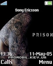   Sony Ericsson 176x220 - Prison Break Back