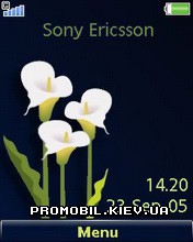   Sony Ericsson 240x320 - Calla