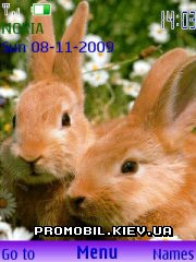   Nokia Series 40 3rd Edition - Rabbits