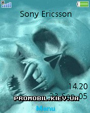   Sony Ericsson 240x320 - Water Skull