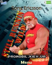   Sony Ericsson 240x320 - Hulk Hogan