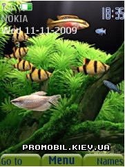   Nokia Series 40 3rd Edition - Dream aquarium
