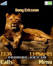   Sony Ericsson 176x220 - The King