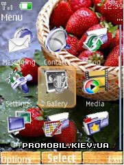   Nokia Series 40 3rd Edition - Berry