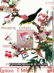   Nokia Series 40 3rd Edition - Birds