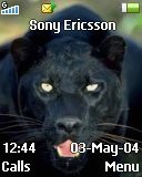   Sony Ericsson 128x160 - Black Cats