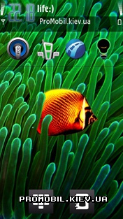   Nokia 5800 - Butterfly Fish