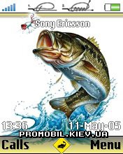   Sony Ericsson 176x220 - Big Bass Fishing