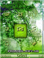   Nokia Series 40 3rd Edition - Green nature