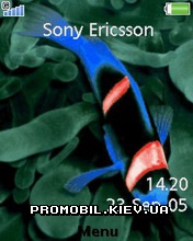   Sony Ericsson 240x320 - Move In Water