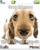   Sony Ericsson 128x160 - Doggy Animated