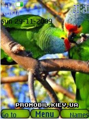   Nokia Series 40 3rd Edition - Parrots