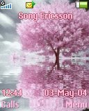   Sony Ericsson 128x160 - Tree