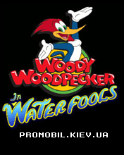  :   [Woody wood pecker:In waterfools]
