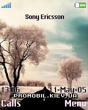   Sony Ericsson 176x220 - Black Road