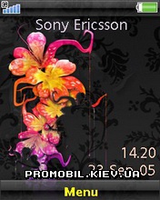   Sony Ericsson 240x320 - Colorful Flowers