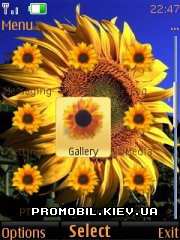   Nokia Series 40 - Sun flower