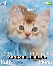   Sony Ericsson 176x220 - Kitty