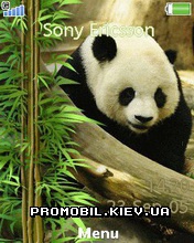   Sony Ericsson 240x320 - Panda Baer